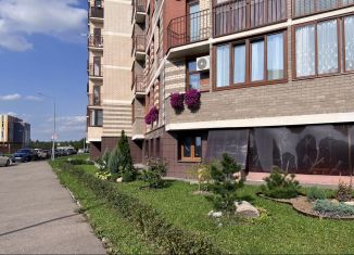 Продажа квартиры студии, 18 м2, деревня Ивановское, улица Семёна Гордого, 3