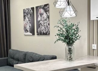 Сдается двухкомнатная квартира, 42.6 м2, Сочи, Ясногорская улица, 16/2к1, микрорайон Бытха