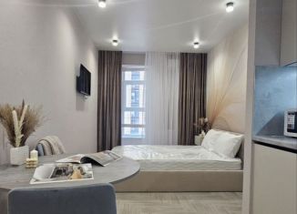 Продается квартира студия, 26 м2, Ростов-на-Дону, Красноармейская улица, 157В/83с3, ЖК Рубин