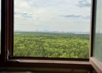 Двухкомнатная квартира на продажу, 70.4 м2, Котельники, Сосновая улица, 2, ЖК Белые Росы