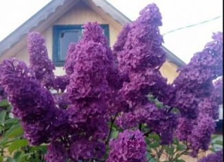 Продается дом, 40 м2, Балашов, улица Карла Маркса