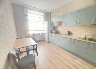 Сдается в аренду однокомнатная квартира, 50 м2, Новомосковск, Комсомольская улица, 41