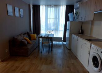 2-комнатная квартира в аренду, 44 м2, Краснодар, улица Горького, 190, микрорайон Центральный