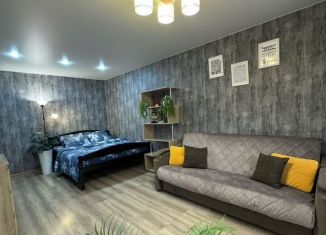 Однокомнатная квартира на продажу, 29.1 м2, Ярославская область, Рыбинская улица, 49А