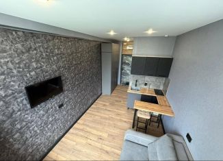 Продаю квартиру студию, 18 м2, Новосибирск, Сухановская улица, 6А, метро Заельцовская