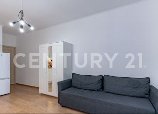Продается квартира студия, 24.1 м2, Санкт-Петербург, метро Комендантский проспект, Плесецкая улица, 20к1