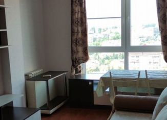 Сдается в аренду двухкомнатная квартира, 36 м2, Сочи, Пасечная улица, 45/6, микрорайон Донская