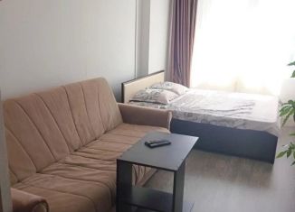 Сдам в аренду 1-ком. квартиру, 37 м2, Пермь, улица Александра Турчевича, 8, ЖК Арсенал