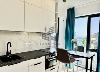 Сдаю в аренду 2-ком. квартиру, 40 м2, Сочи, Дагомысская улица, 27, микрорайон Больничный Городок