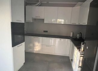 Сдаю в аренду дом, 200 м2, село Раздольное, Дубовая улица, 99