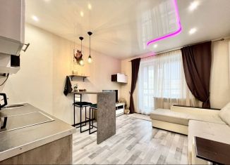 Сдам в аренду квартиру студию, 27.2 м2, Санкт-Петербург, Среднерогатская улица