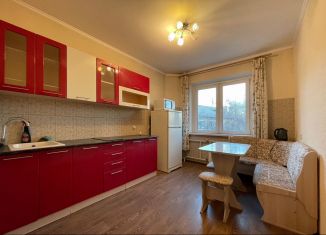 Аренда 1-комнатной квартиры, 40 м2, Новосибирск, улица Марии Ульяновой, 20, метро Золотая Нива
