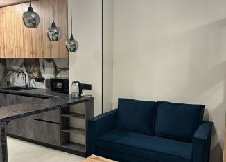 Сдается квартира студия, 42 м2, Ростов-на-Дону, проспект 40-летия Победы, 63/17с3