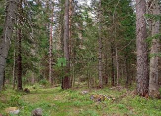 Продам земельный участок, 8 сот., село Усть-Пыжа, Центральная улица