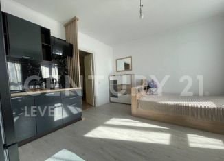 Сдаю квартиру студию, 26 м2, деревня Глухово, Романовская улица, 19, ЖК Новая Рига