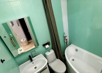 Продаю 1-комнатную квартиру, 27 м2, поселок Верхнетемерницкий, Атмосферный переулок, 4, ЖК Радуга