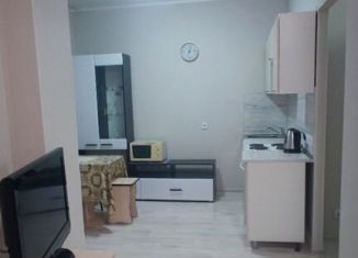 Квартира в аренду студия, 27 м2, Пермь, улица Александра Турчевича, 8, ЖК Арсенал