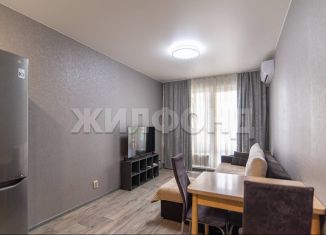 Продажа двухкомнатной квартиры, 36.5 м2, Барнаул, Павловский тракт, 162Б, ЖК Краски