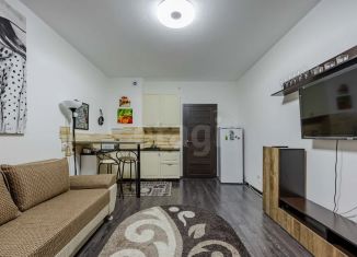 Квартира на продажу студия, 24.5 м2, Санкт-Петербург, проспект Ветеранов, 194, ЖК Солнечный Город. Резиденции
