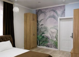 Продажа квартиры студии, 25 м2, Сочи, Виноградная улица, 216А, микрорайон Мамайка