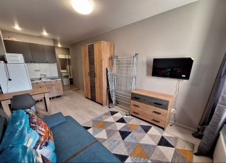 Аренда квартиры студии, 23 м2, Щербинка, квартал Южный, 5