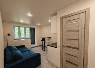 Продажа квартиры студии, 22 м2, Москва, Студёный проезд, 38к2, Студёный проезд