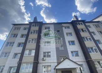 Продаю 1-ком. квартиру, 25.5 м2, деревня Крутые Выселки, Лучезарная улица, 8Б, ЖК Изумрудный Город