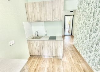 Продам однокомнатную квартиру, 28.4 м2, Пермь, улица Крупской, 81