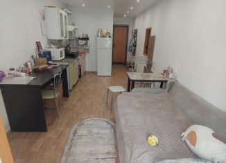 Продаю квартиру студию, 22.5 м2, Саратовская область, Огородная улица, 157