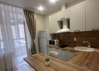 Сдаю в аренду квартиру студию, 28 м2, Краснодар, улица имени Героя Николая Шевелёва, 17, микрорайон Губернский