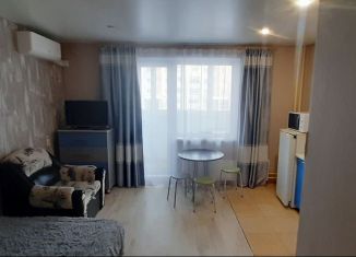 Сдача в аренду квартиры студии, 24 м2, Челябинская область, улица Богдана Хмельницкого, 50