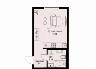 Продаю квартиру студию, 25.9 м2, Санкт-Петербург, Петроградский район