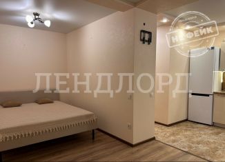 Аренда квартиры студии, 32 м2, поселок Верхнетемерницкий, улица Венеры, 24к8