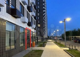 Помещение свободного назначения в аренду, 41 м2, Москва, Салтыковская улица, 6/2к1, район Косино-Ухтомский