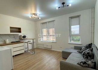 Сдам квартиру студию, 24 м2, Люберцы, Некрасовский проезд, 13, ЖК Люберцы 2018