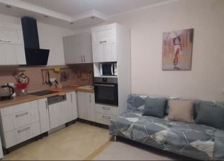Сдача в аренду однокомнатной квартиры, 38 м2, Тюмень, Газопромысловая улица, 1к1, Ленинский округ