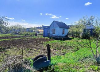 Продажа дачи, 15 м2, Брянск, Виноградная улица