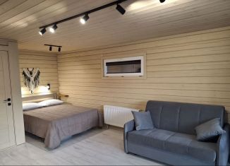 Сдача в аренду дома, 27 м2, село Чемал, Курортная улица, 22Б