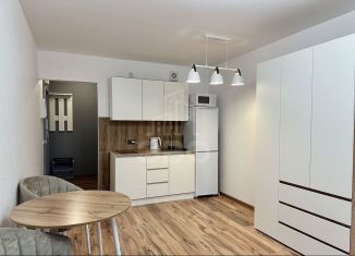 Аренда квартиры студии, 25 м2, Ломоносов, Михайловская улица, 51