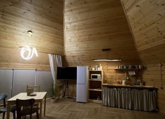 Сдается в аренду дом, 40 м2, село Озёрное, Солнечная улица, 29