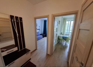 Сдается в аренду 1-комнатная квартира, 34 м2, Мурино, улица Шувалова, 27/7, ЖК Гринландия-2