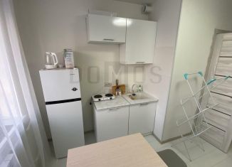 Квартира на продажу студия, 13 м2, Екатеринбург, Самолётная улица, 45, Чкаловский район