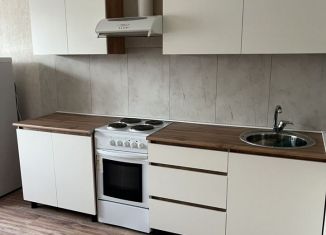 Сдача в аренду двухкомнатной квартиры, 62 м2, Краснодар, улица Героя Владислава Посадского, 69, микрорайон Восточно-Кругликовский