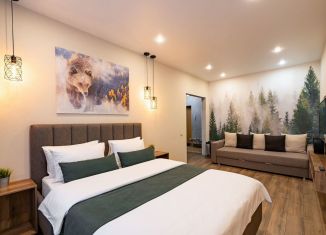 Сдаю в аренду 1-ком. квартиру, 45 м2, Томск, Тверская улица, 66/1