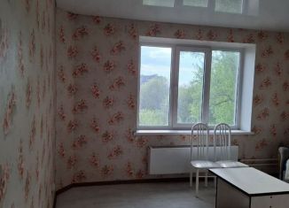 Продажа 1-комнатной квартиры, 29.8 м2, Магнитогорск, улица Панькова, 3/1