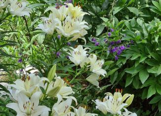 Продажа гаража, 20 м2, Астрахань, улица Татищева