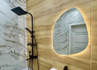 Продается 2-комнатная квартира, 56.1 м2, Благовещенск, ЖК Лазурный Берег, Заводская улица, 2/4