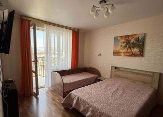 Сдаю 1-комнатную квартиру, 42 м2, Геленджик, Туристическая улица, 4Гк7