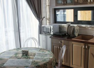 Сдается в аренду дом, 55 м2, деревня Большой Суходол, деревня Большой Суходол, 8А