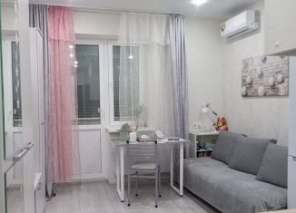 Продаю квартиру студию, 25 м2, Ростов-на-Дону, Горсоветская улица, 49с1, ЖК Свобода